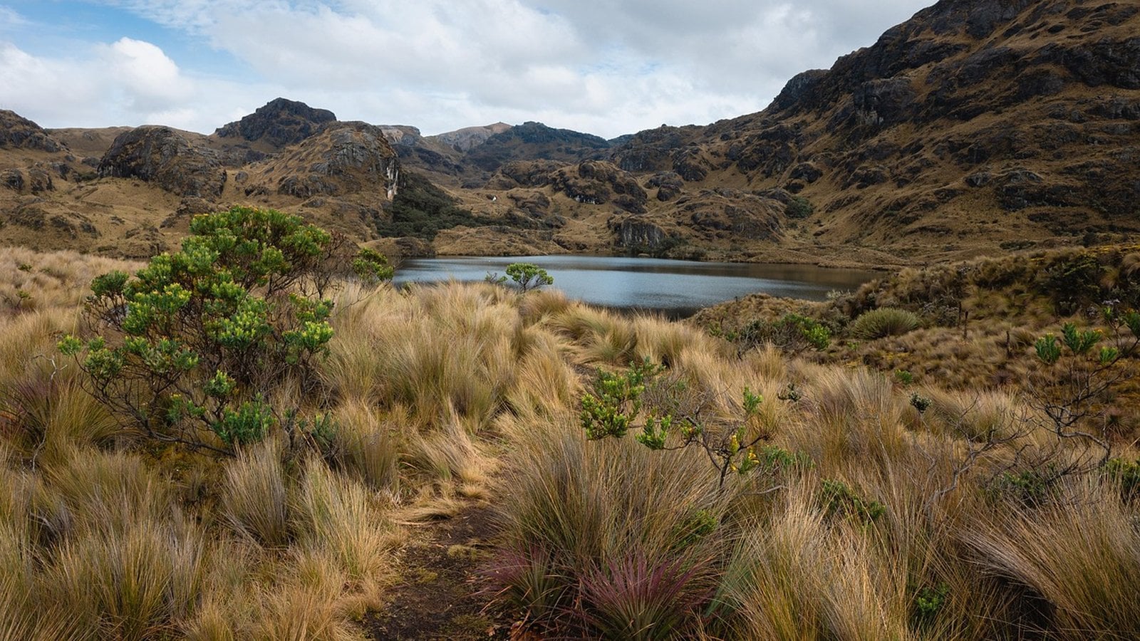 Metropolitan Touring Ecuador