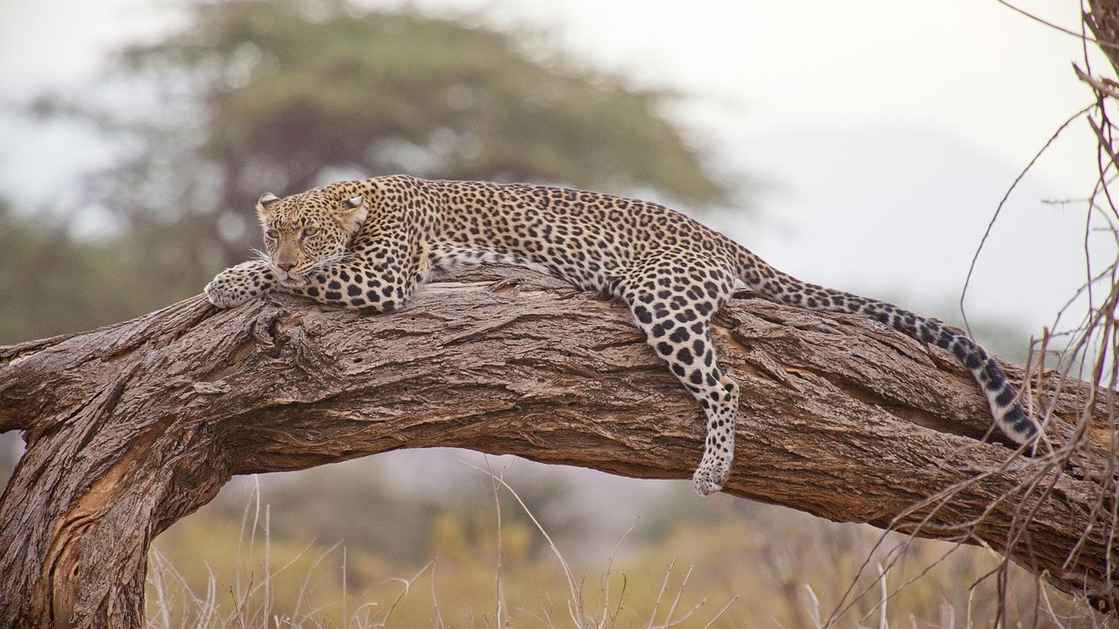 Micato Safaris Tanzania