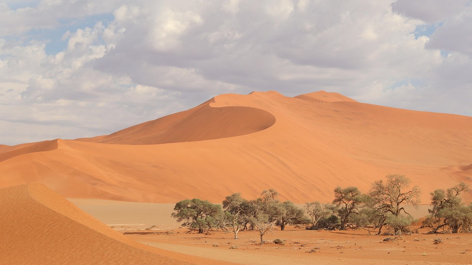 Namibia Safari