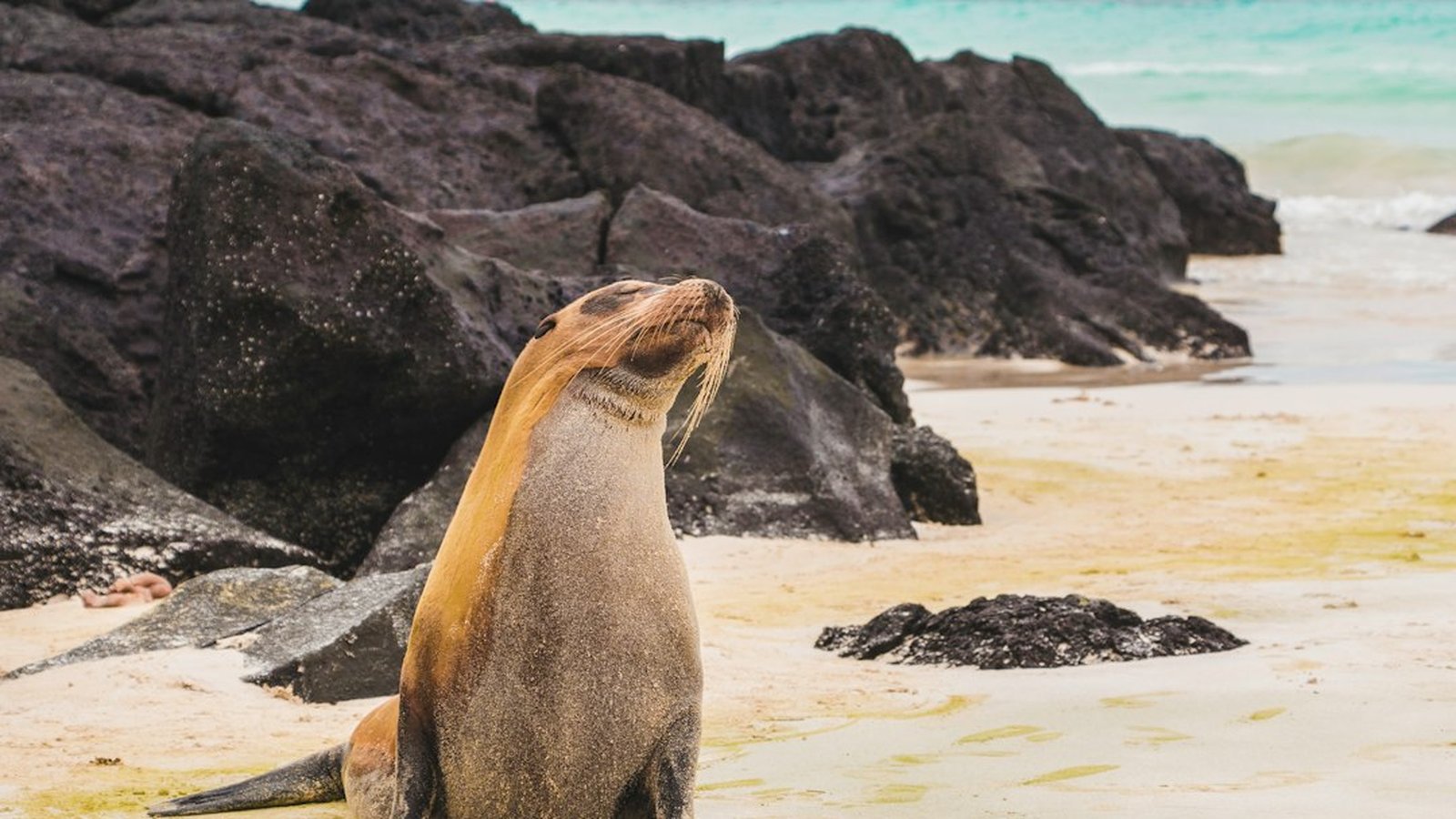 Natural Habitat Adventures Galapagos