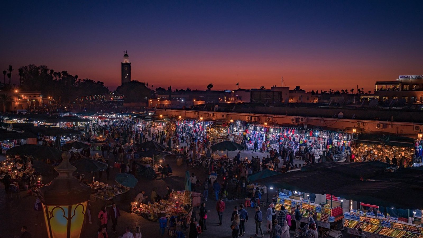 Best Olive Branch Tours Morocco Travel Agents