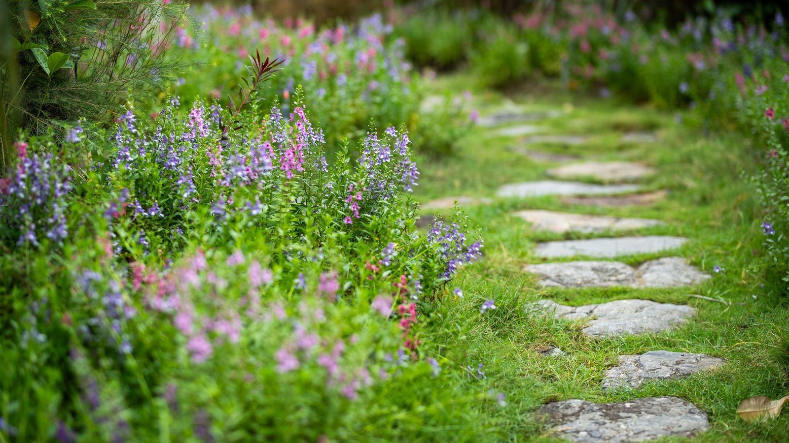 Parks And Gardens