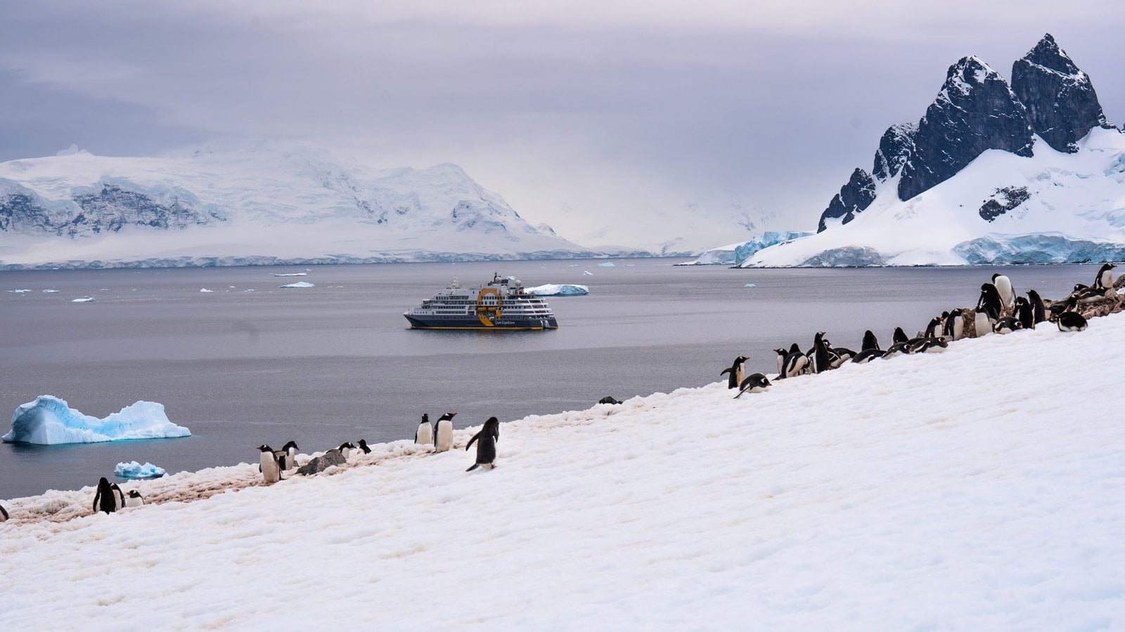 Ponant Antarctica Expedition Cruises