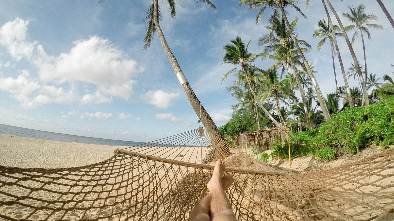 Private Island Buyout Vacations