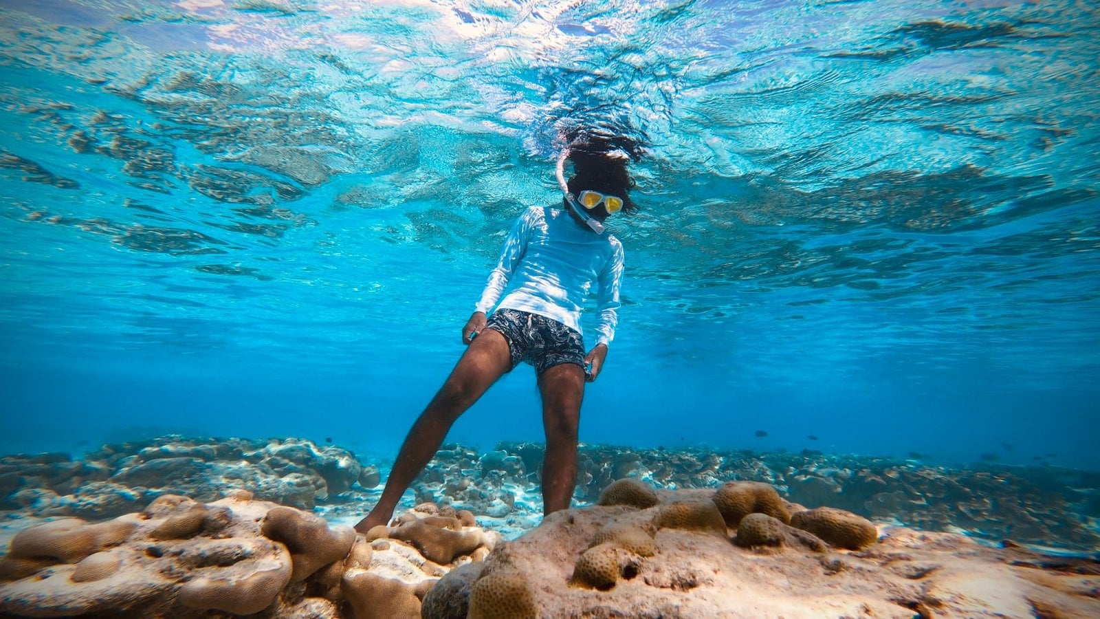 Best Project Expedition Shore Excursions Travel Agents