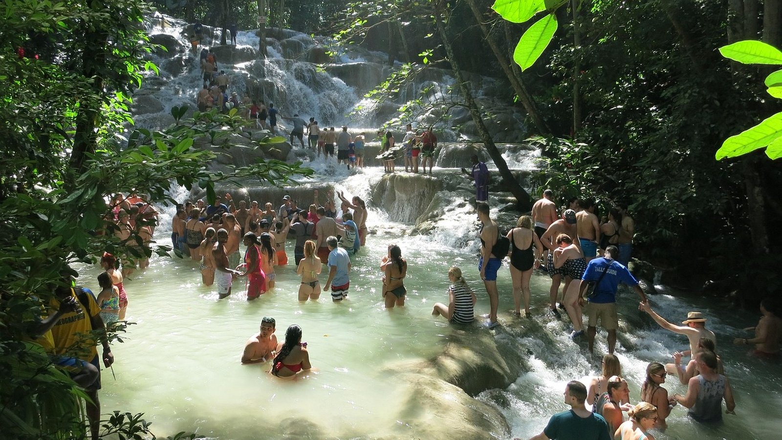 Best Reggae Tours Jamaica Travel Agents