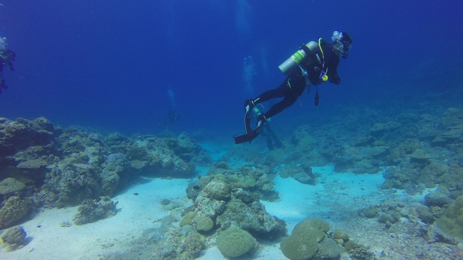 Best Roatan Scuba Diving Travel Agents