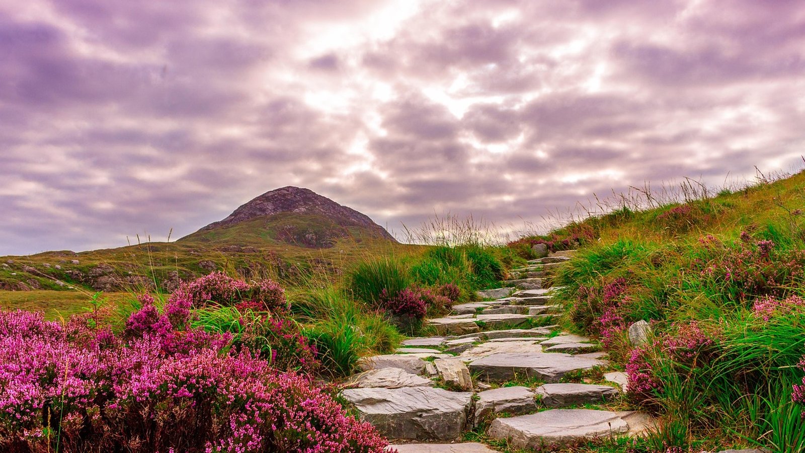 Best Sceptre Vacations Ireland & UK Travel Agents