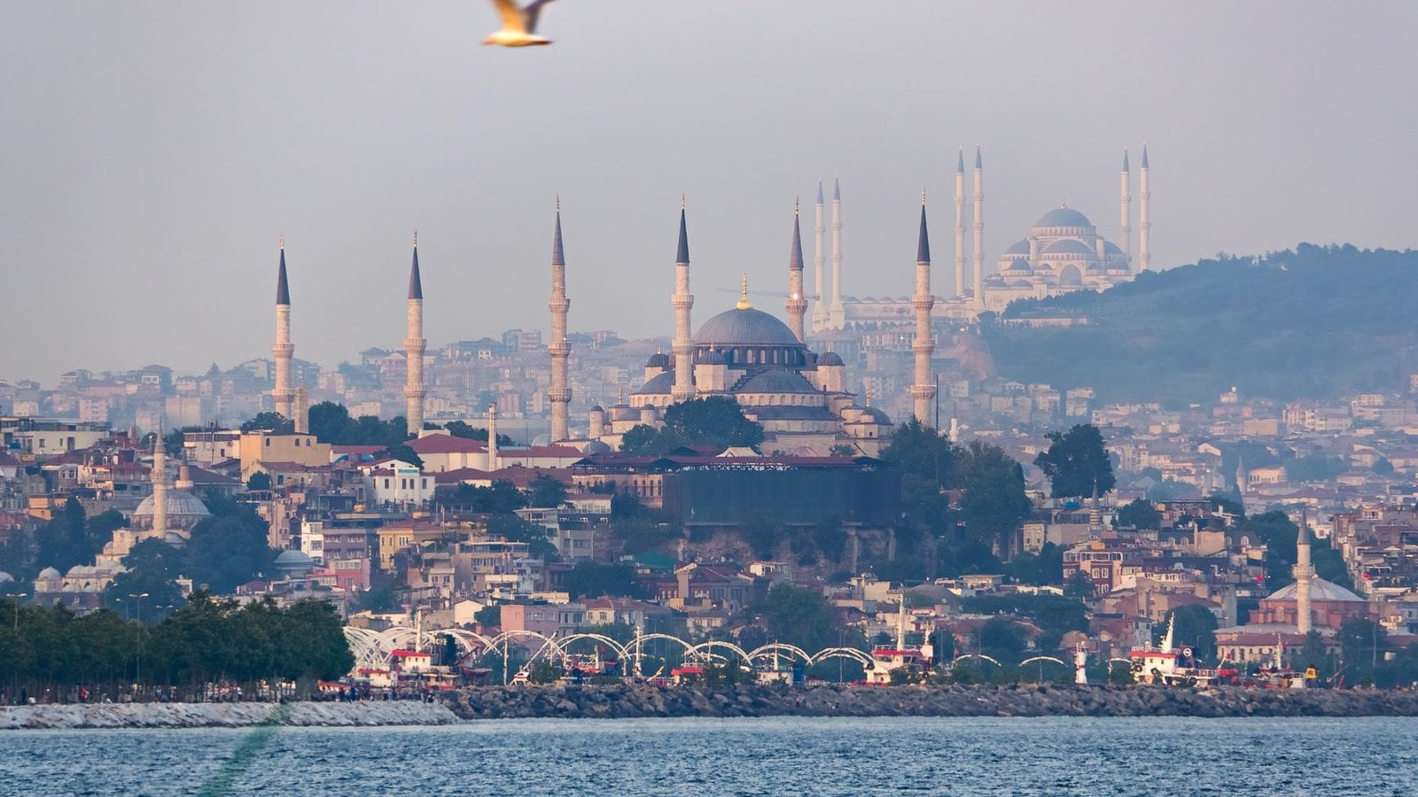 Sea Song Tours Orient Denizcilik Turizm
