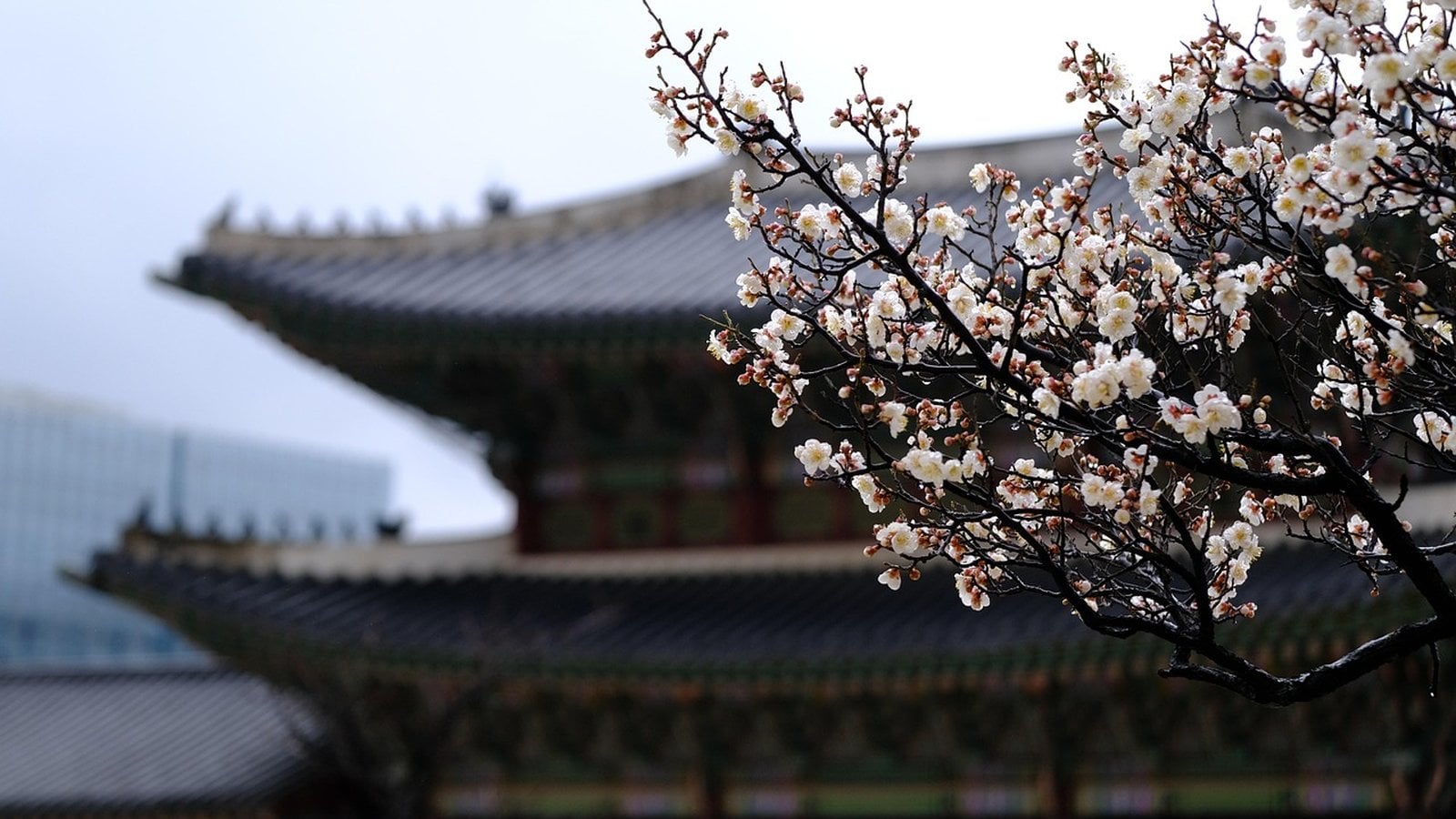 Best Seoul Vacation Travel Agents