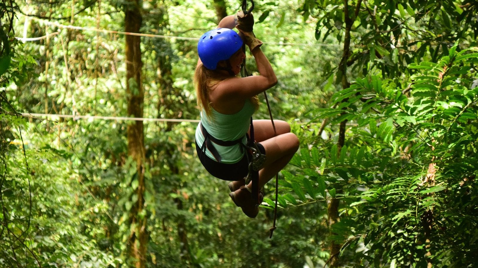 Shore Excursions Group Deals And Promotions