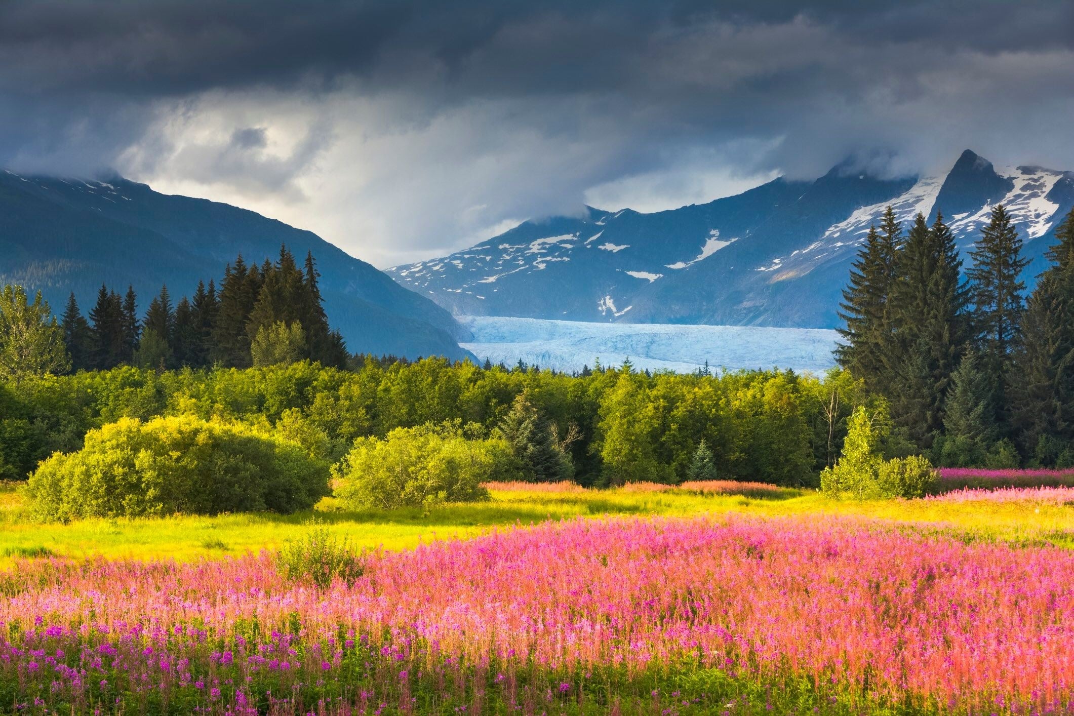 Best Silversea Cruises For Solo Travelers Travel Agents