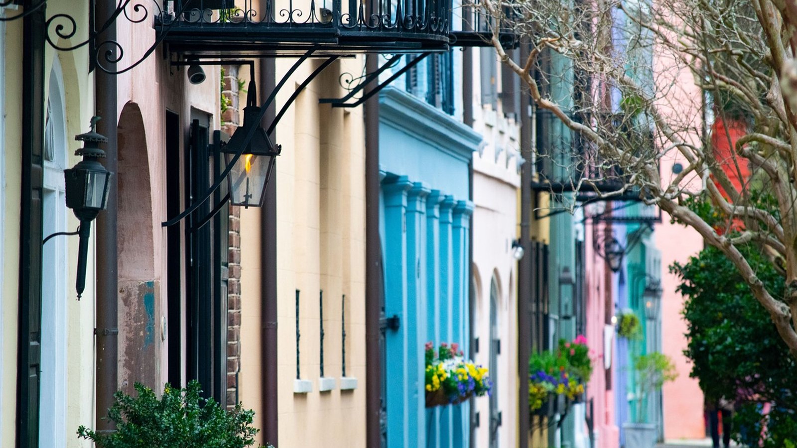 Southern Elegance