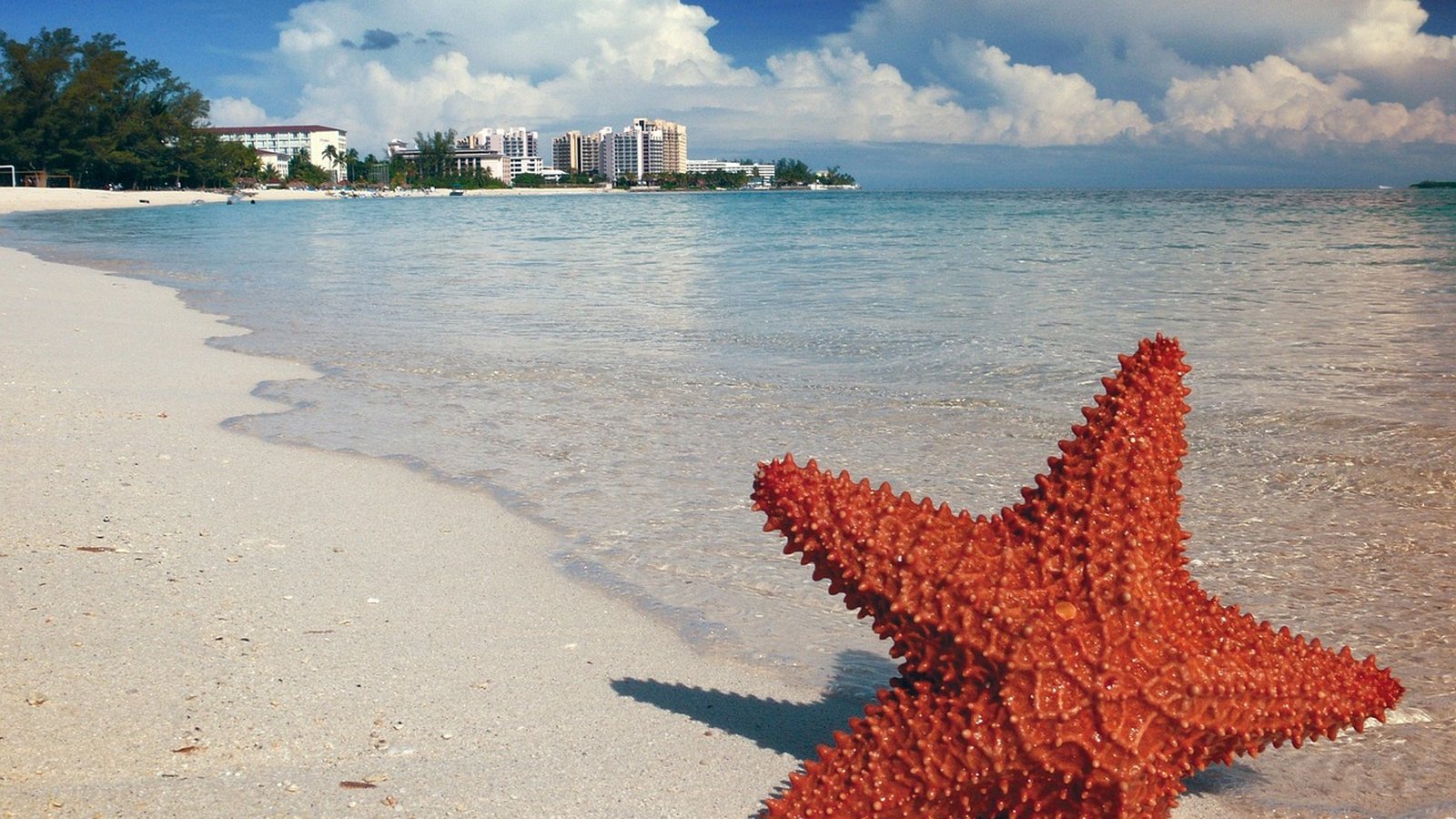 Sunquest Vacations