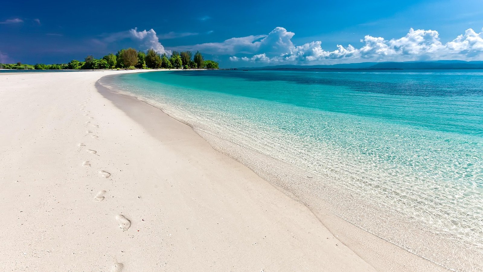 Best Sunwing Vacations Travel Agents