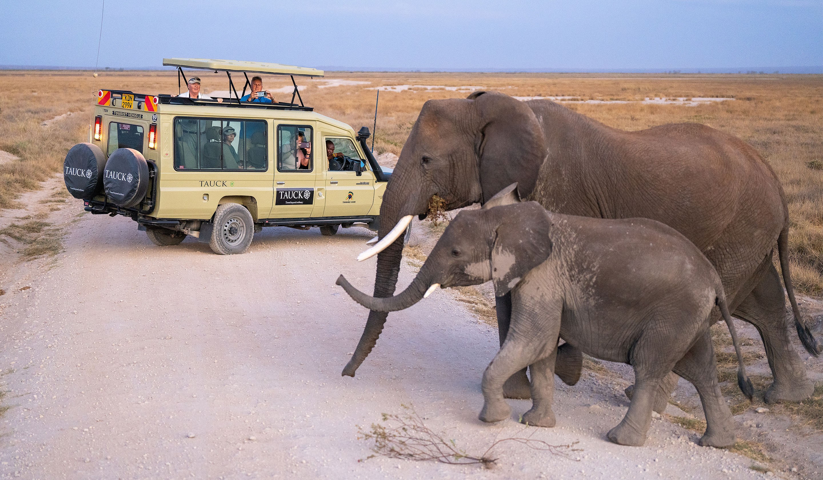 Best Tauck Booking Transfer Travel Agents