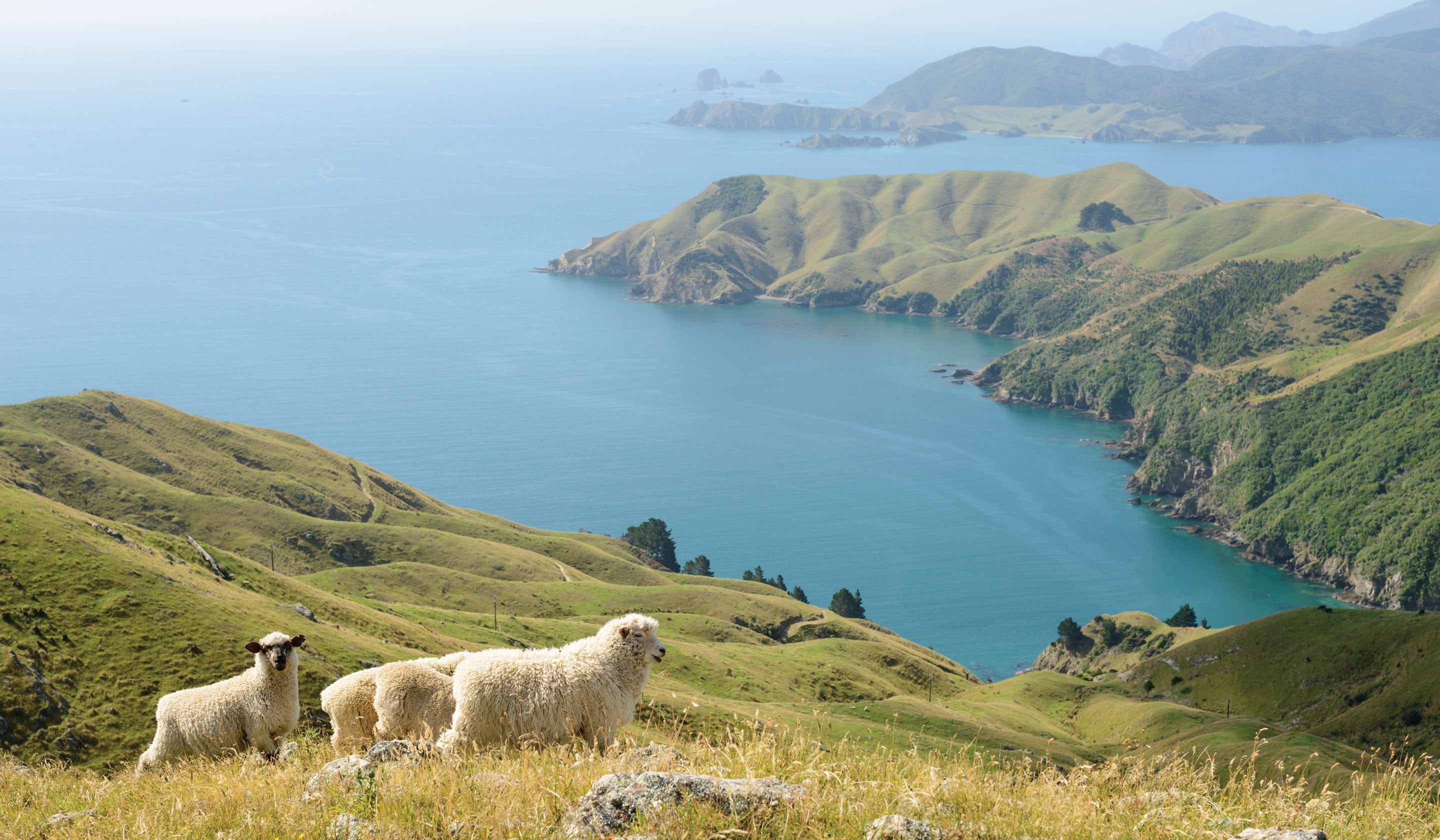 Best Tauck Small Ship Expedition Cruises Travel Agents