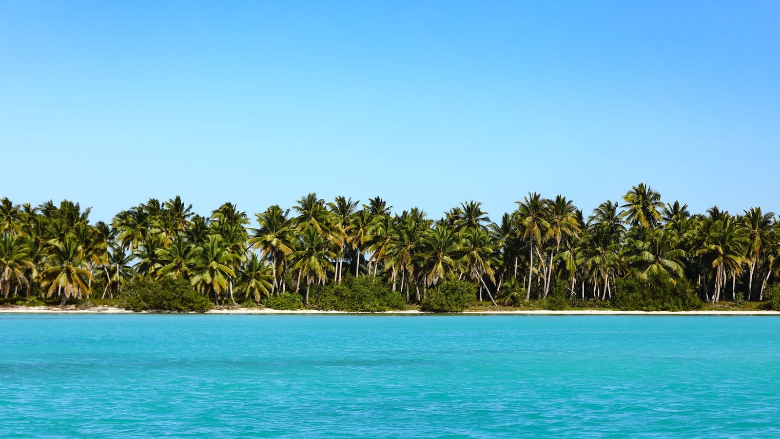 Best United Vacations Travel Agents