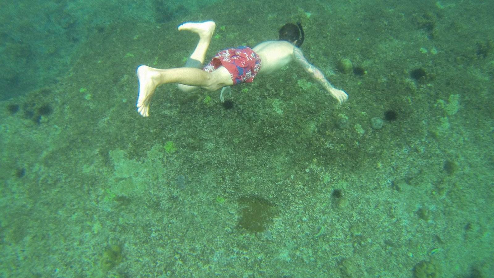 Best Venture Ashore Shore Excursions Travel Agents