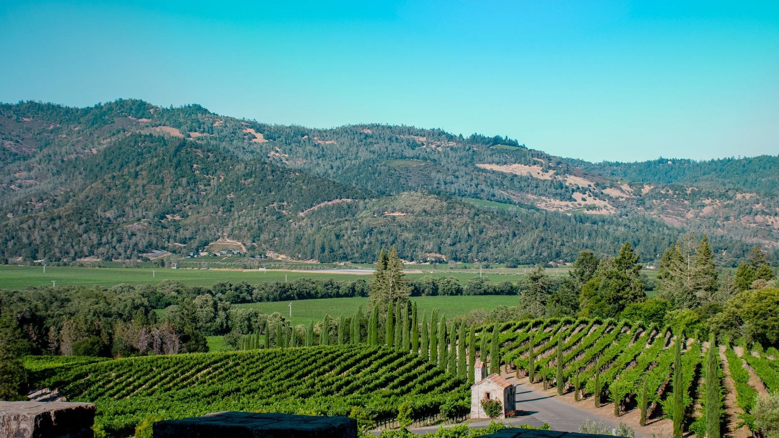 Wine Country Vacations