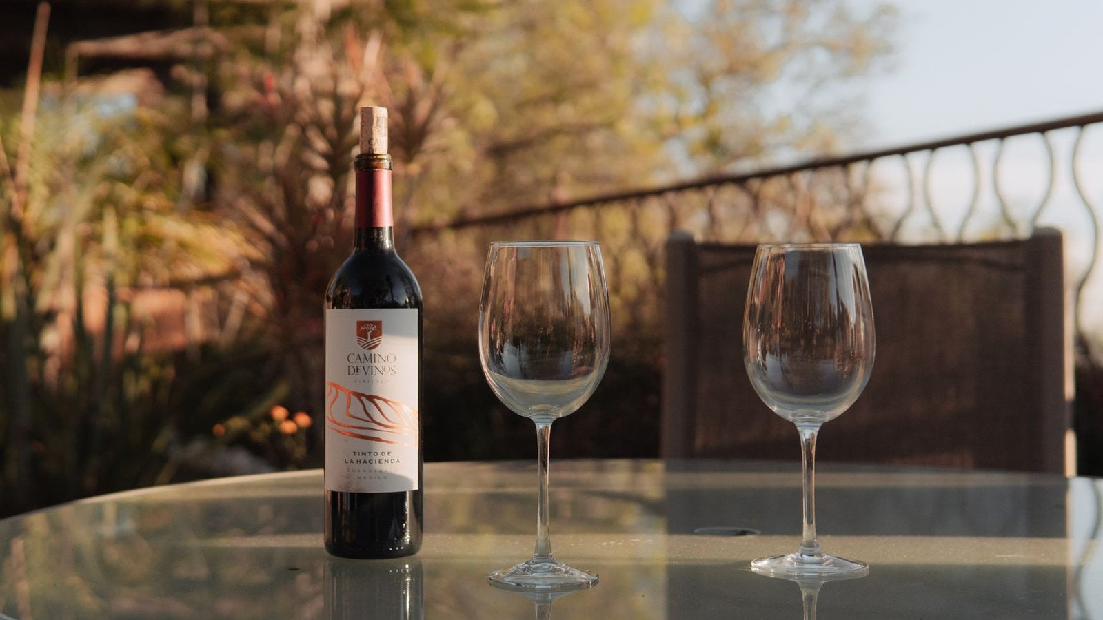 Wine Tasting Tours