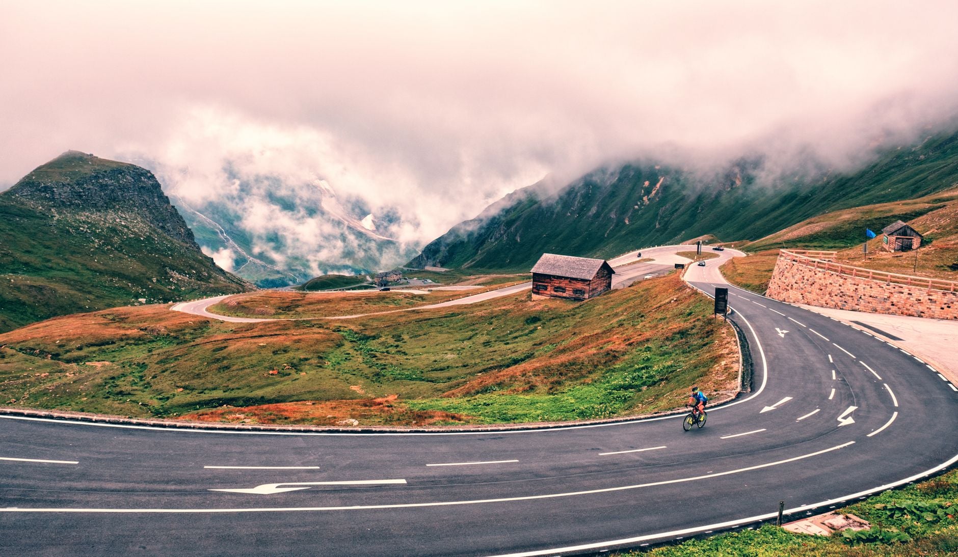 Cyclists Riding Down Scenic Country Road in Tuscany Past Sunflowers