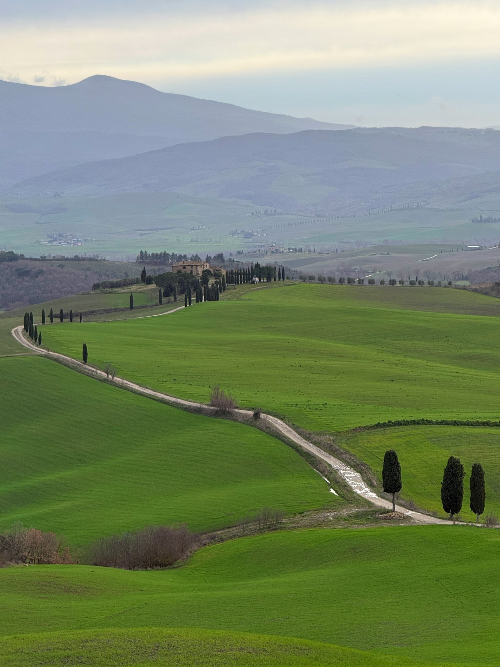 Tuscany Val d'Orcia cypress lined private wine estate