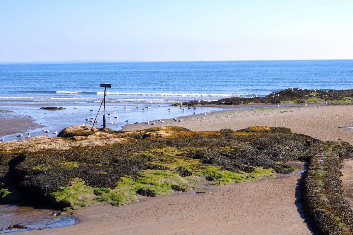 Premier Golf official luxury golf packages to St Andrews and Ryder Cup