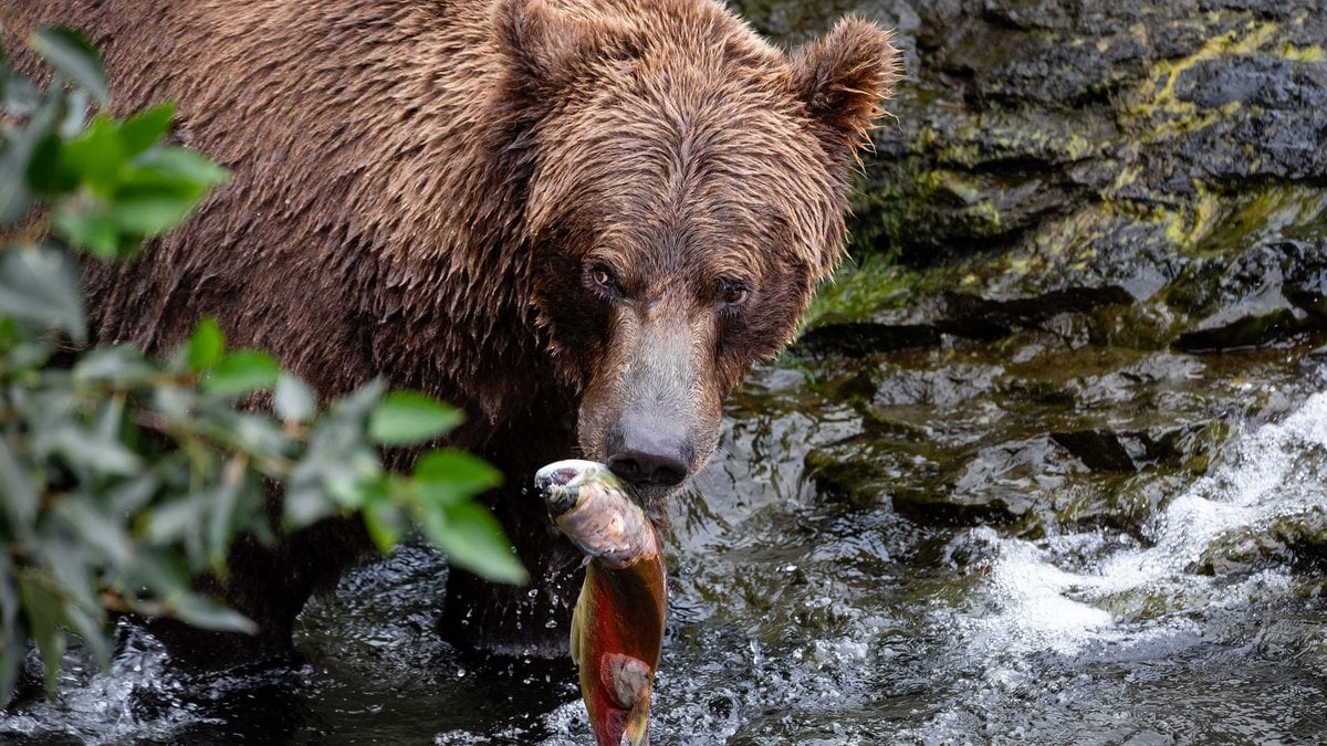 Guided Nature and Wildlife Excursions