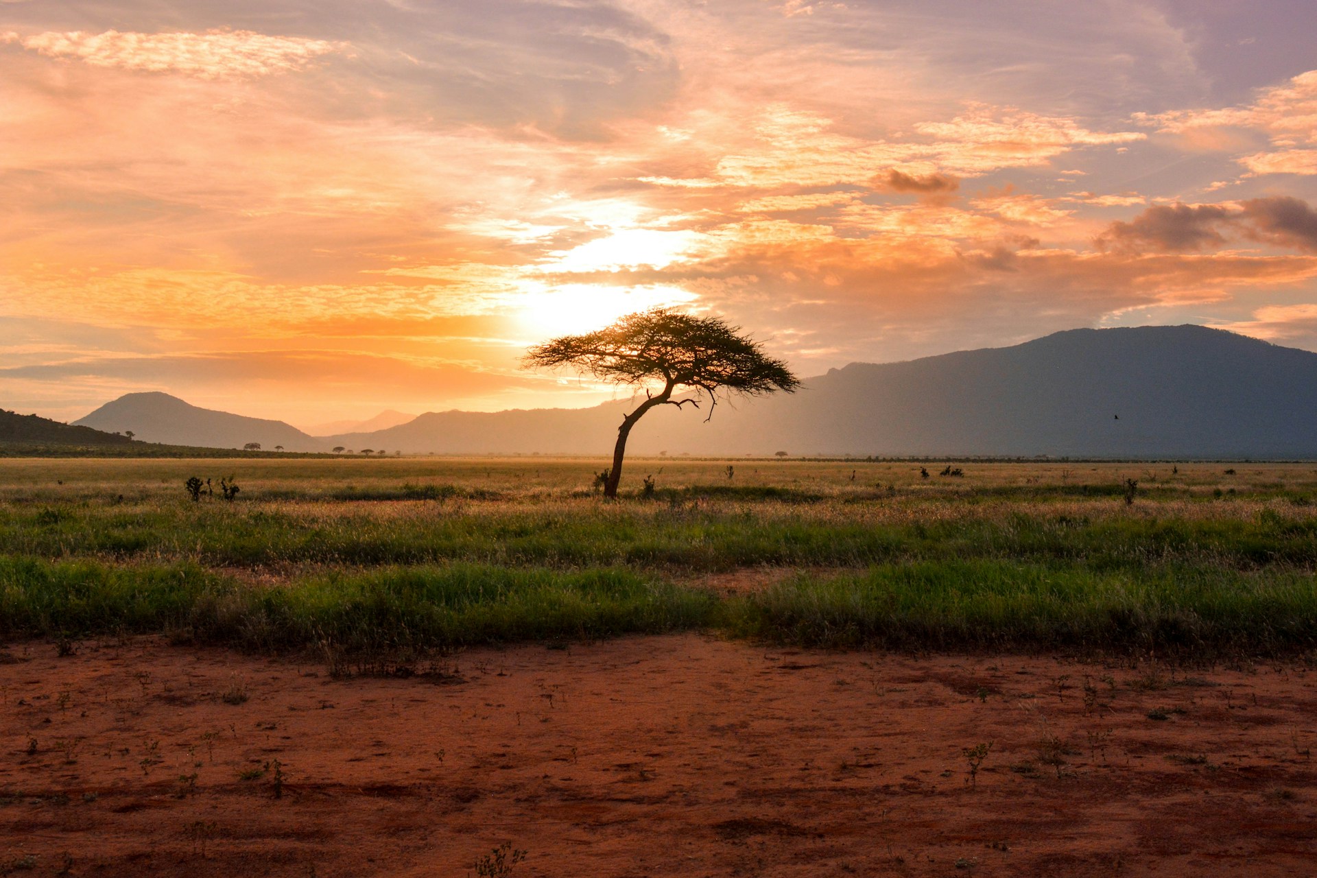 Singita Ebony and Boulders Sabi Sand leopards and big cat safari