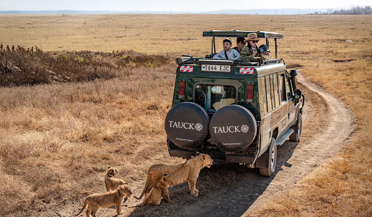Official Tauck African Wildlife Safari