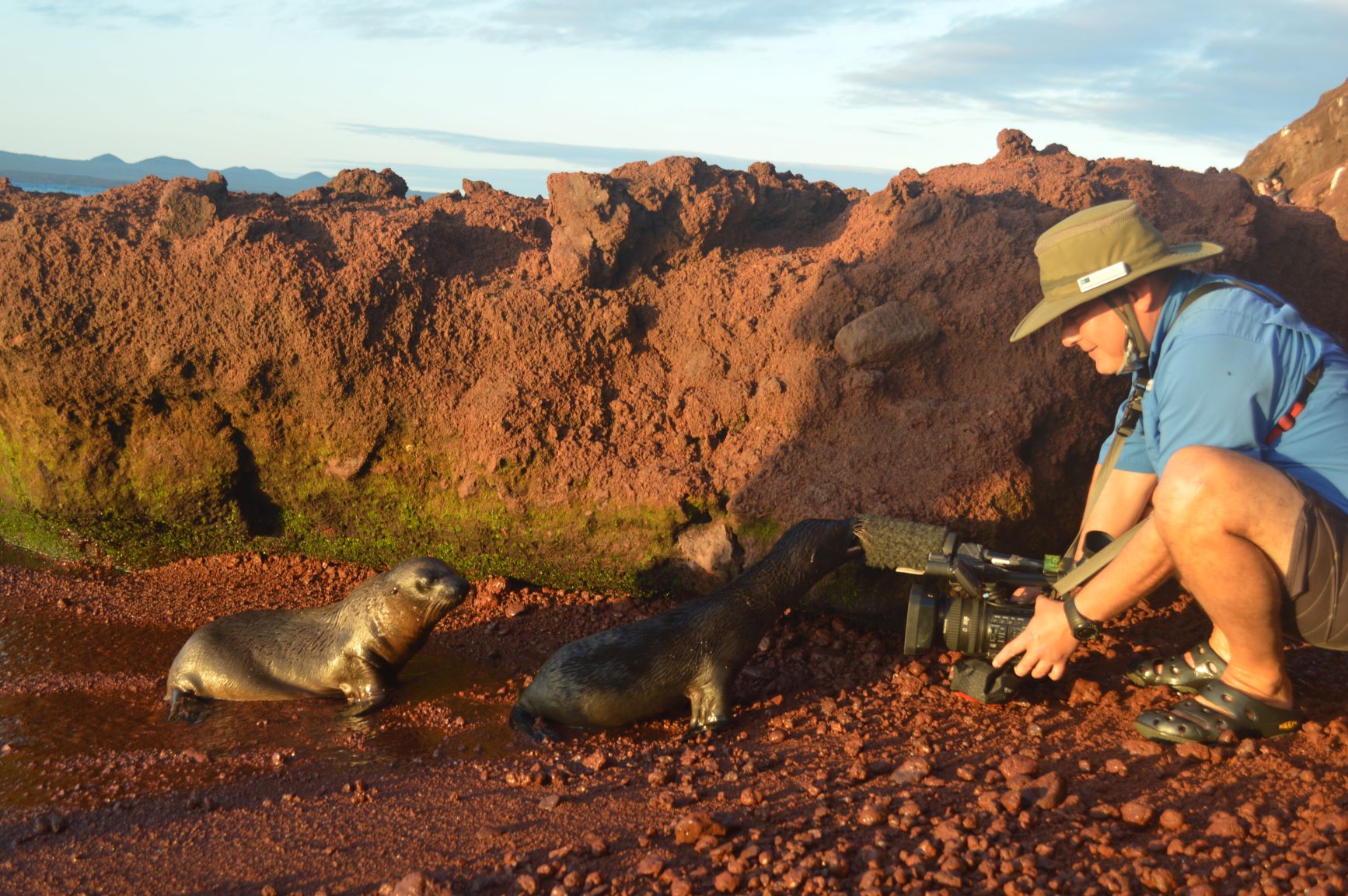 Sunset Zodiac safari navigating the tranquil waters of the Galapagos