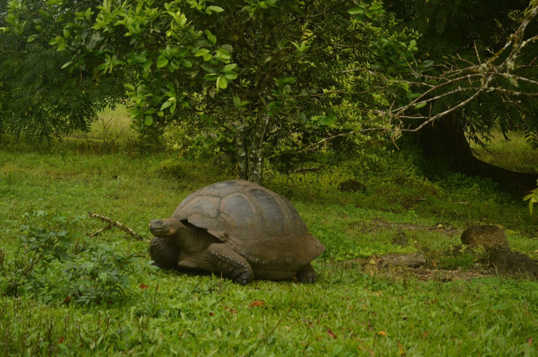 National Geographic Endeavour II anchored in secluded Galapagos cove