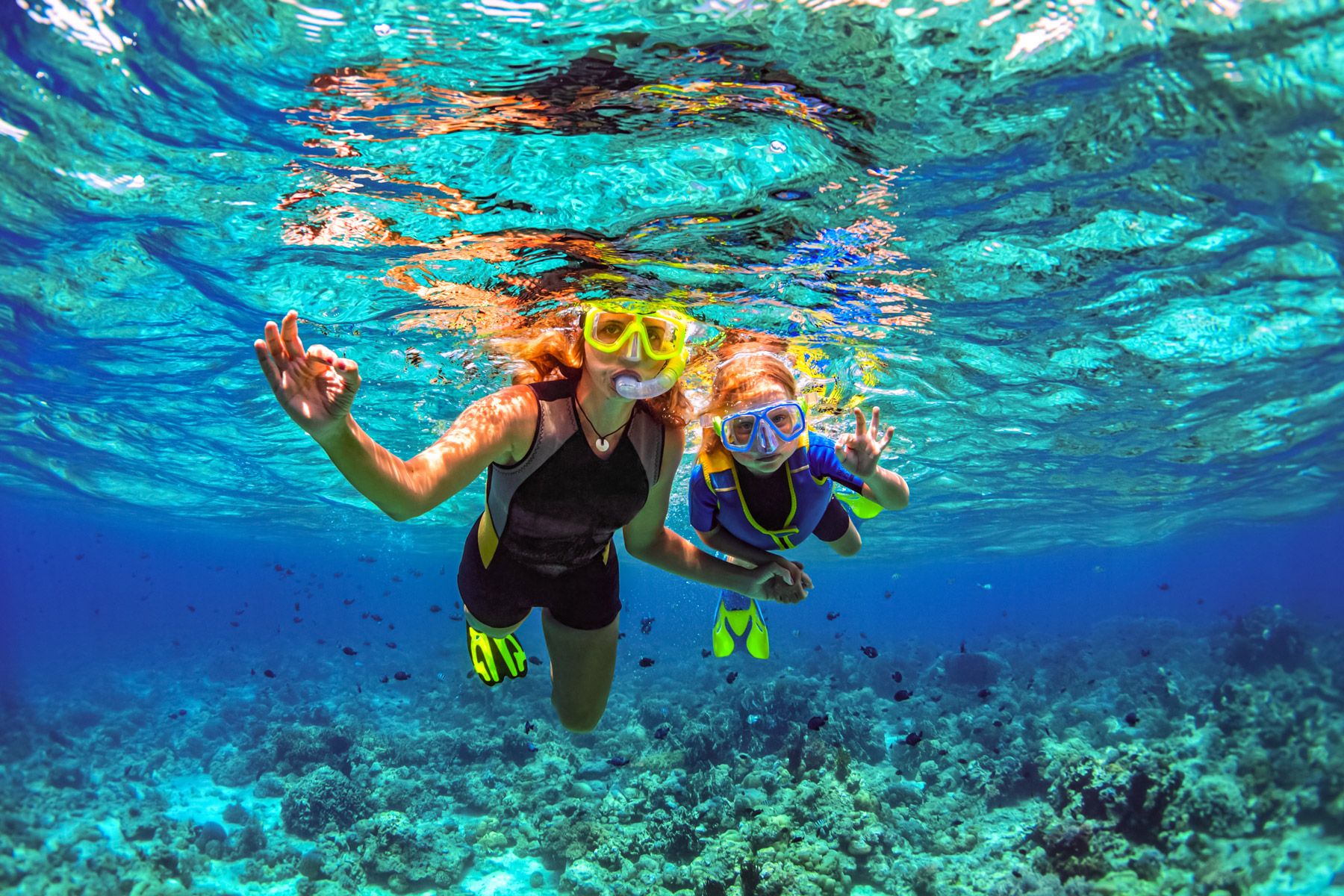 The 10 Best Snorkeling Spots In Nassau The Bahamas The 10 Best Snorkeling Spots In Nassau The Bahamas