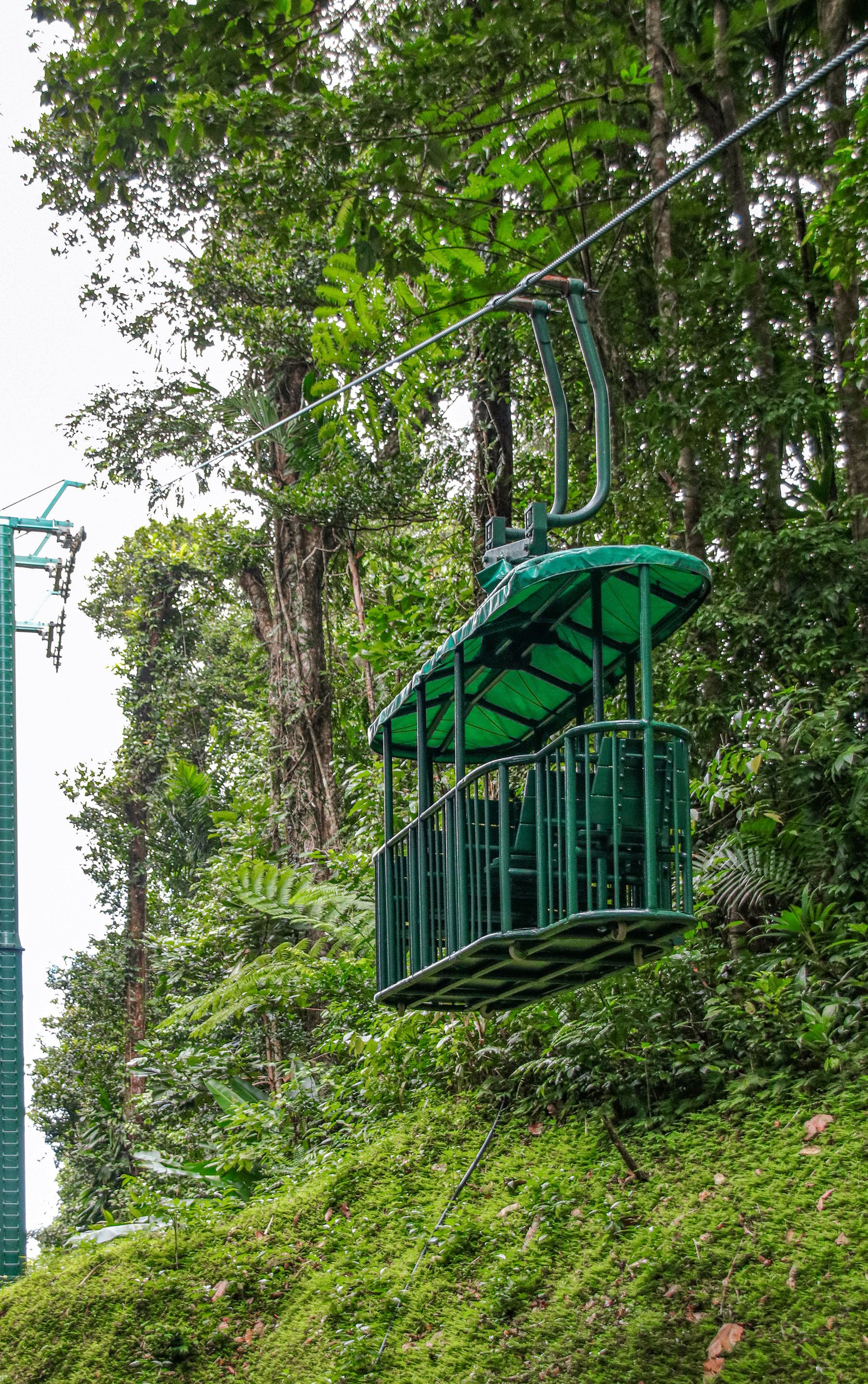 Tram Tour Rainforest Saint Lucia