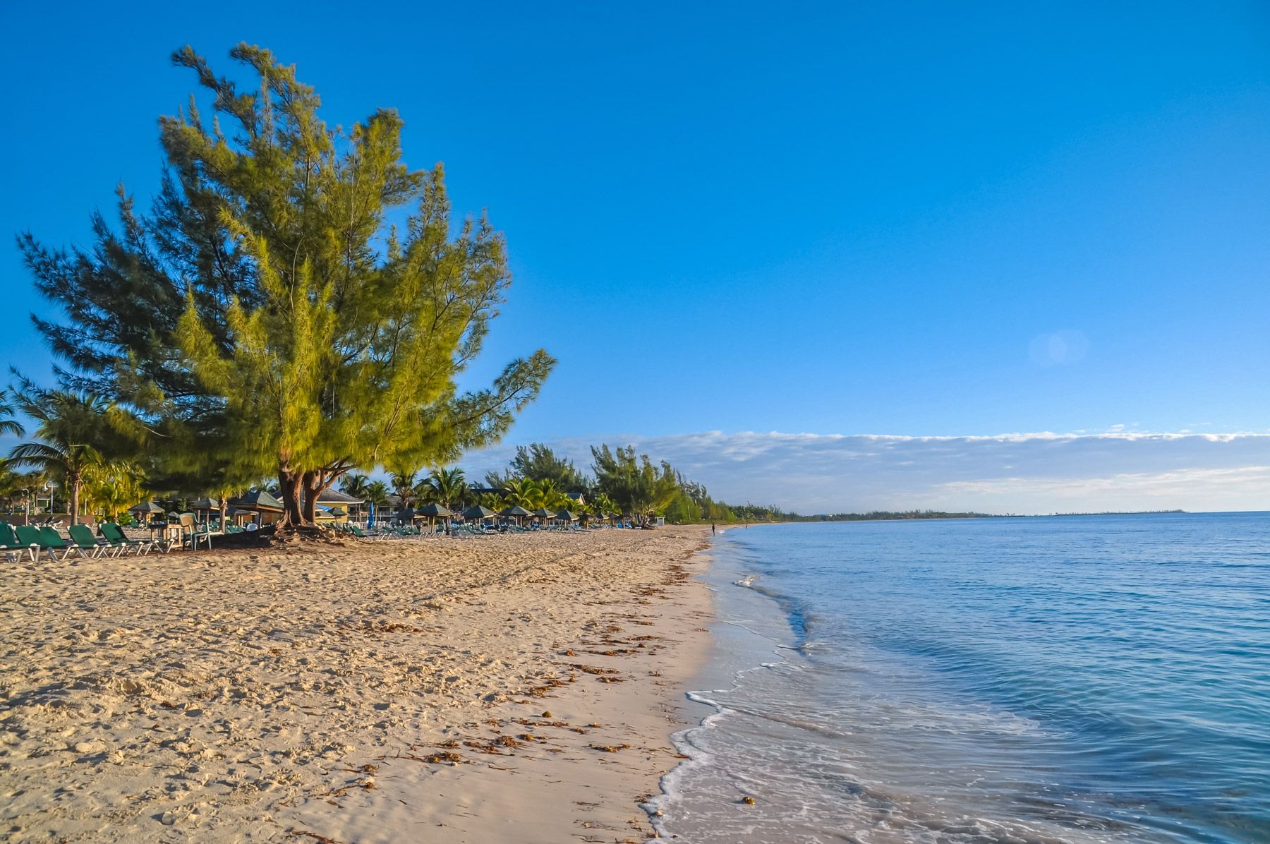 gold rock beach grand bahama island bahamas