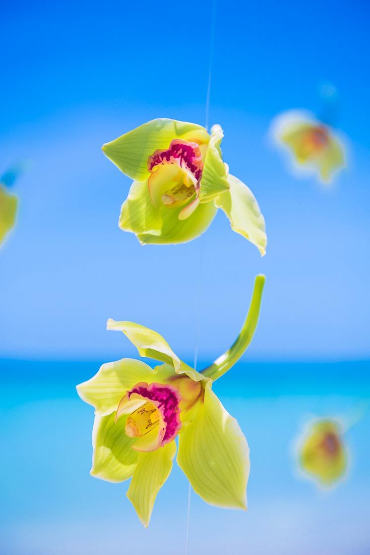 Hanging wedding purple green orchids