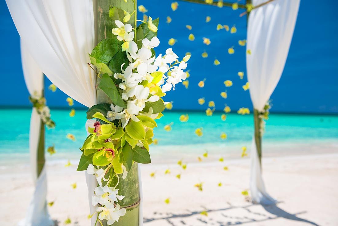 White wedding gazebo flowers