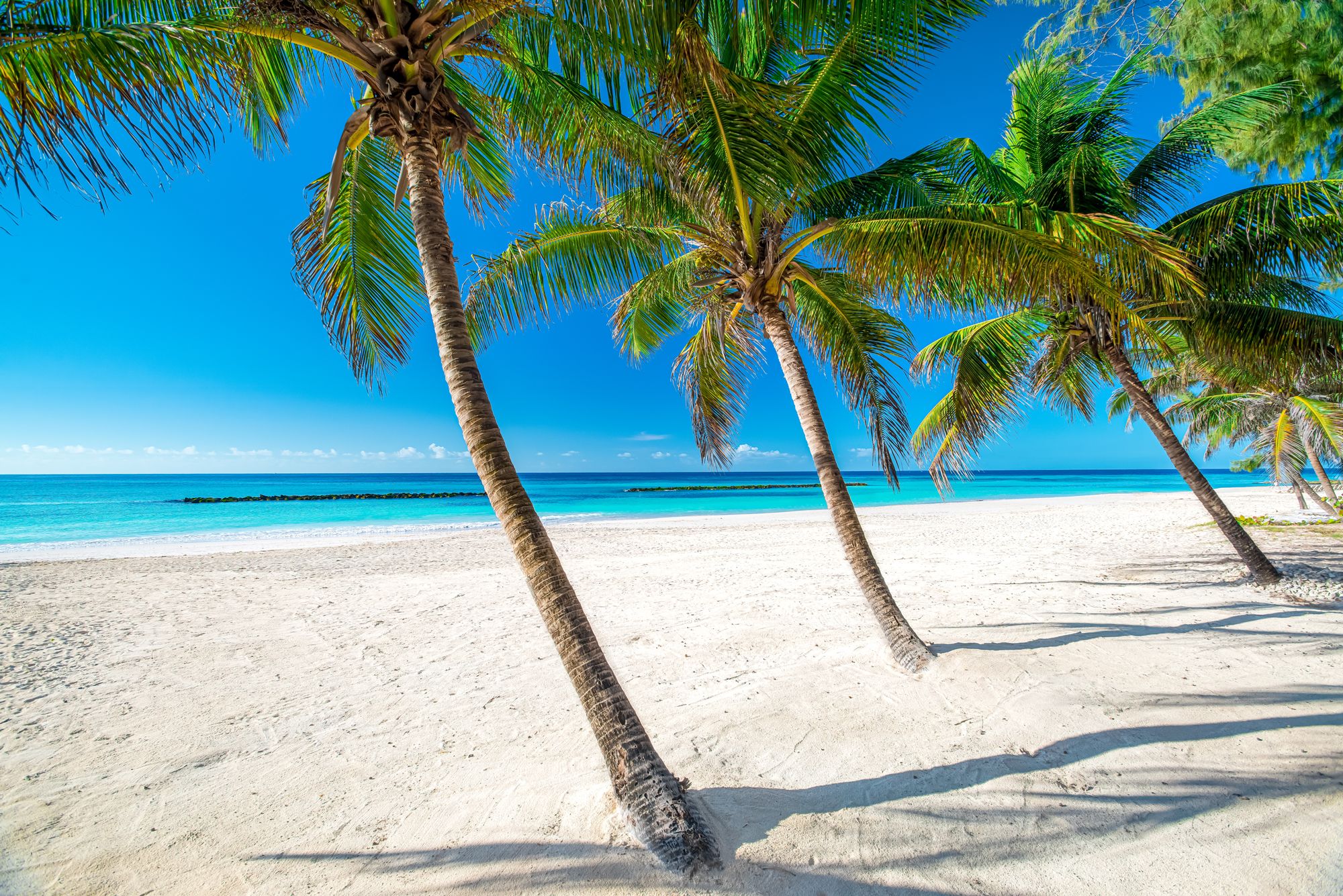 15 Incredible Things Barbados Is Known For