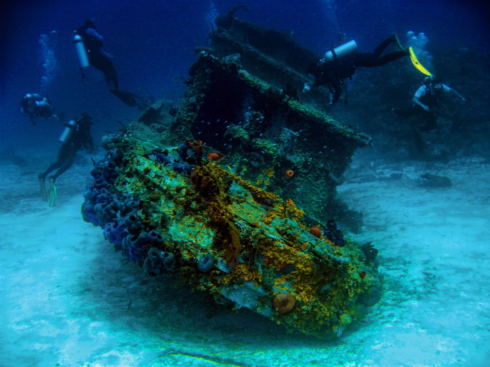 tugboat dive site negril jamaica