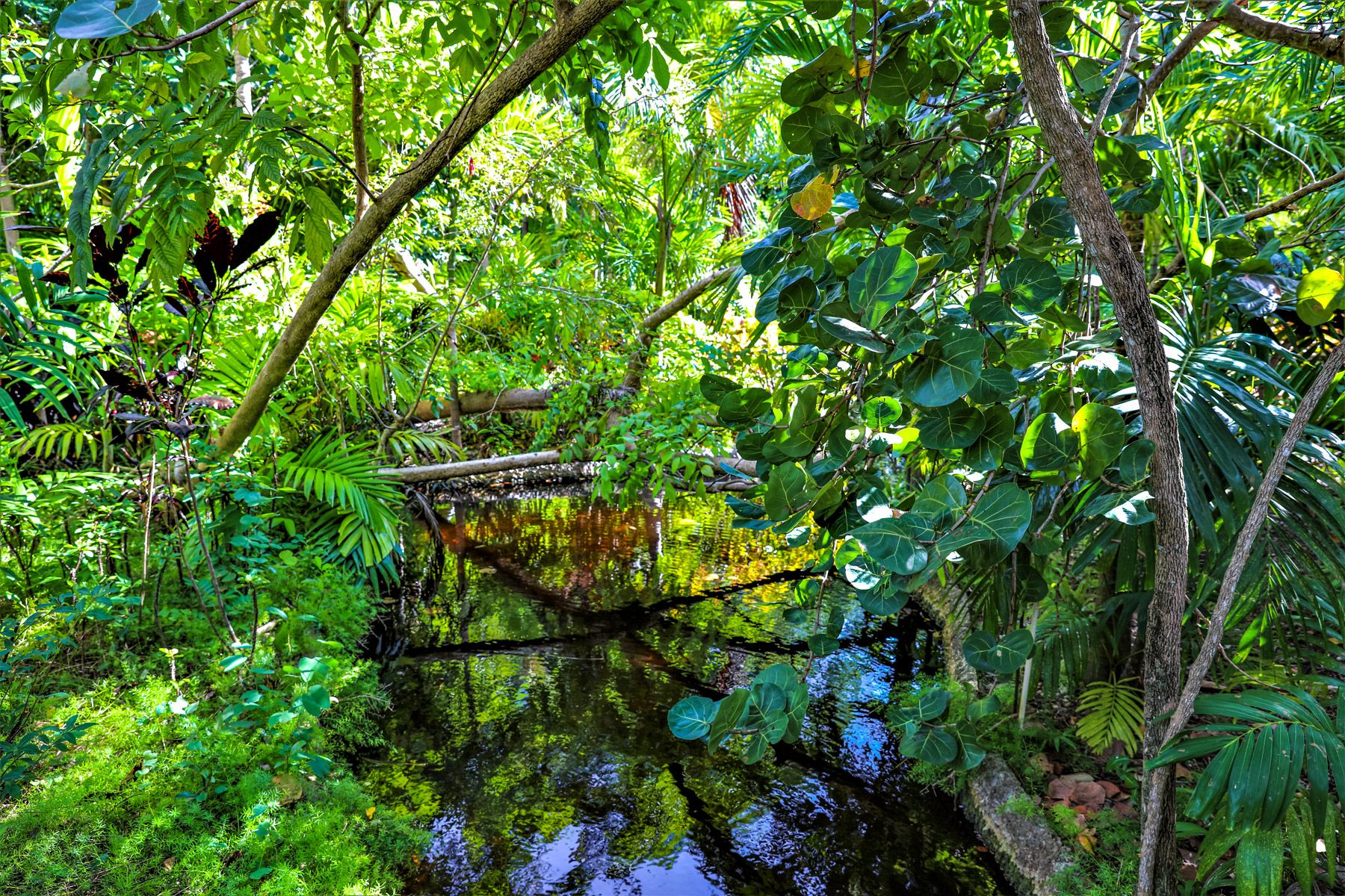 Garden Groves Bahamas Freeport