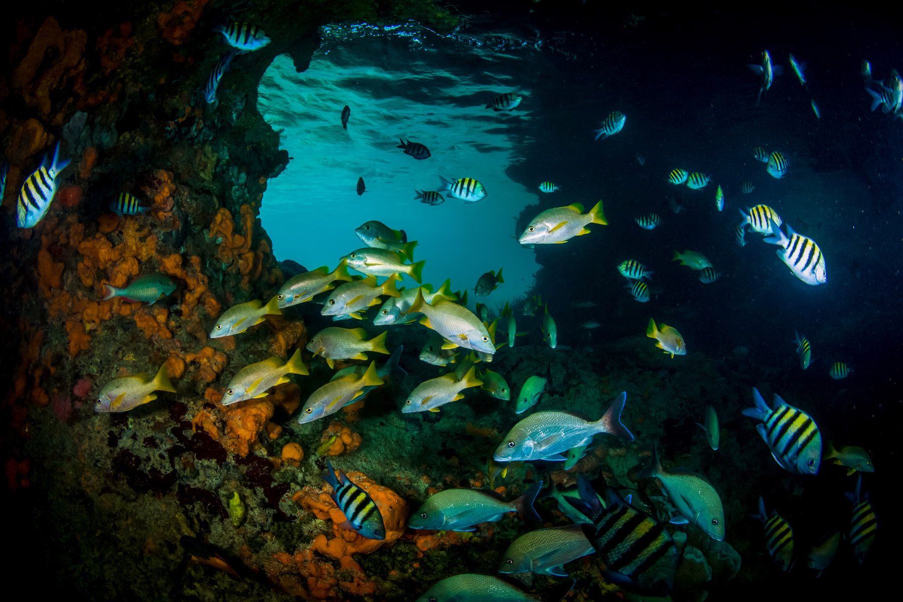 Thunderball Grotto Exuma-Bahamas