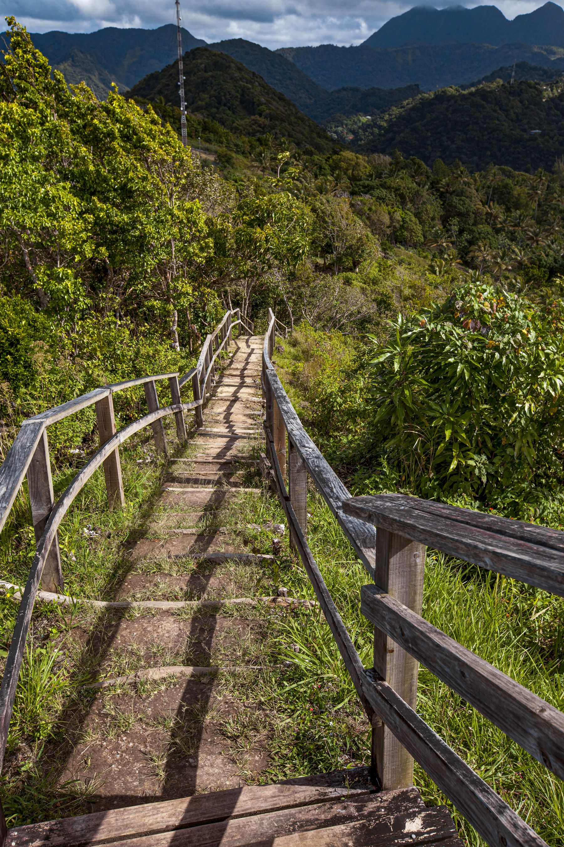 Tet Paul Nature Trail in St.Lucia