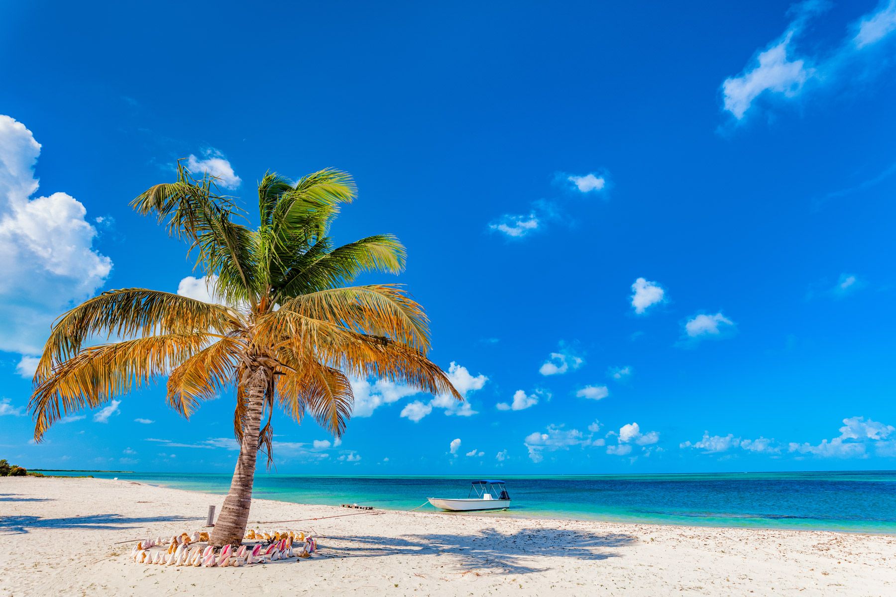 Tropical beach on Barbuda Island