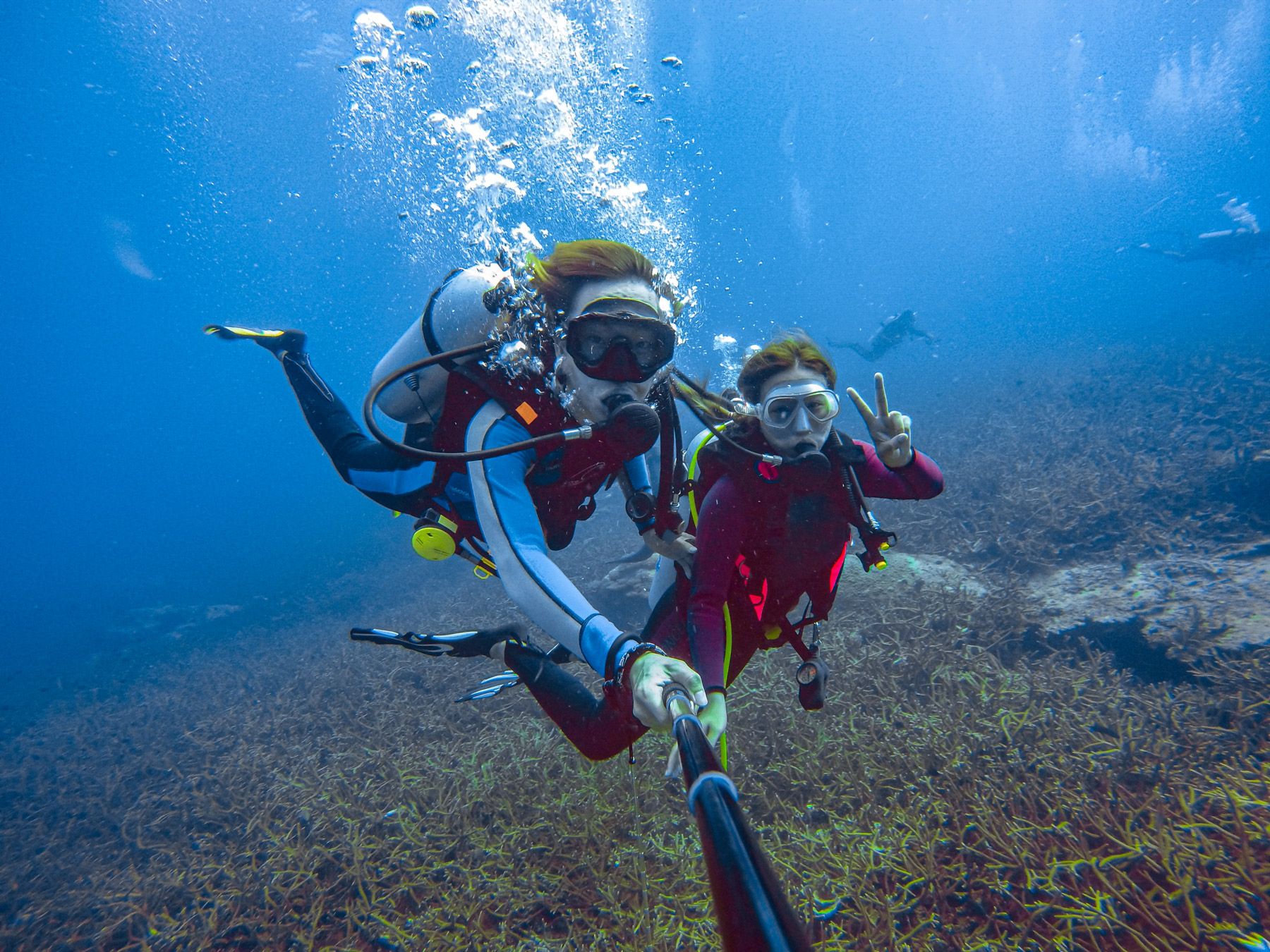 Scuba diving with underwater camera