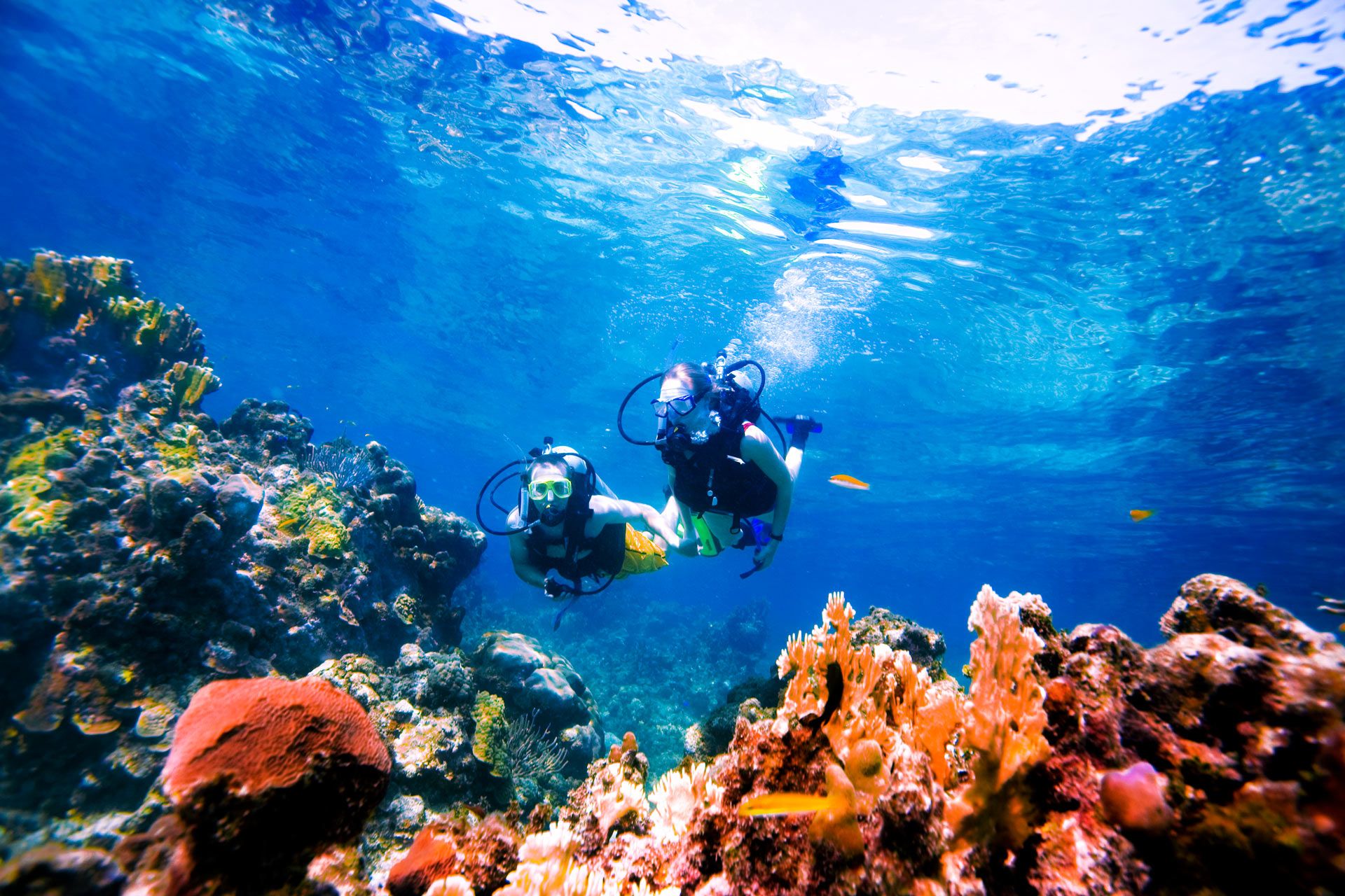 Scuba diving Bahamas