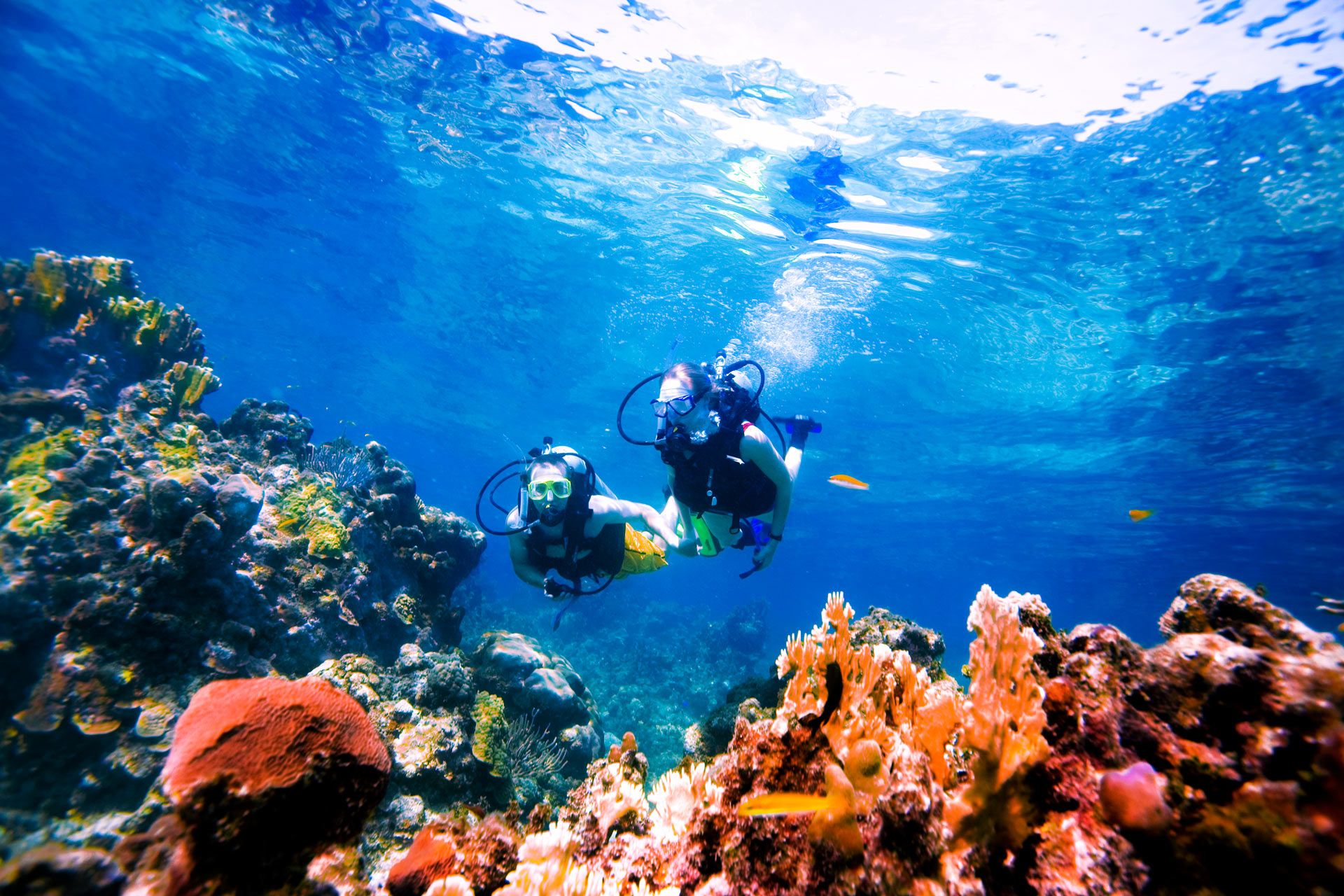 Couple Scuba diving