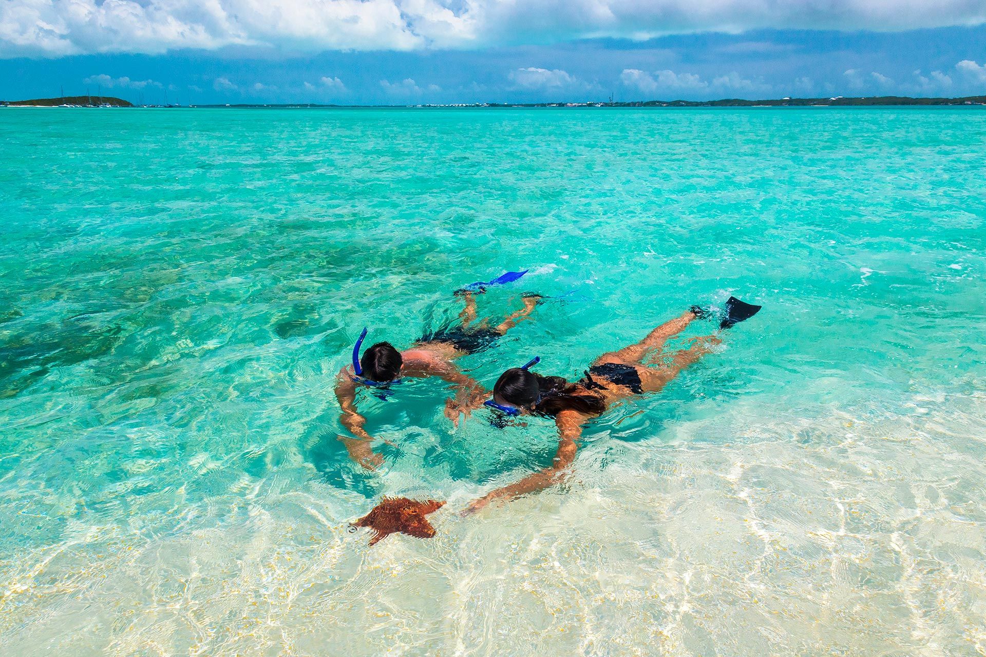 Couple snorkeling