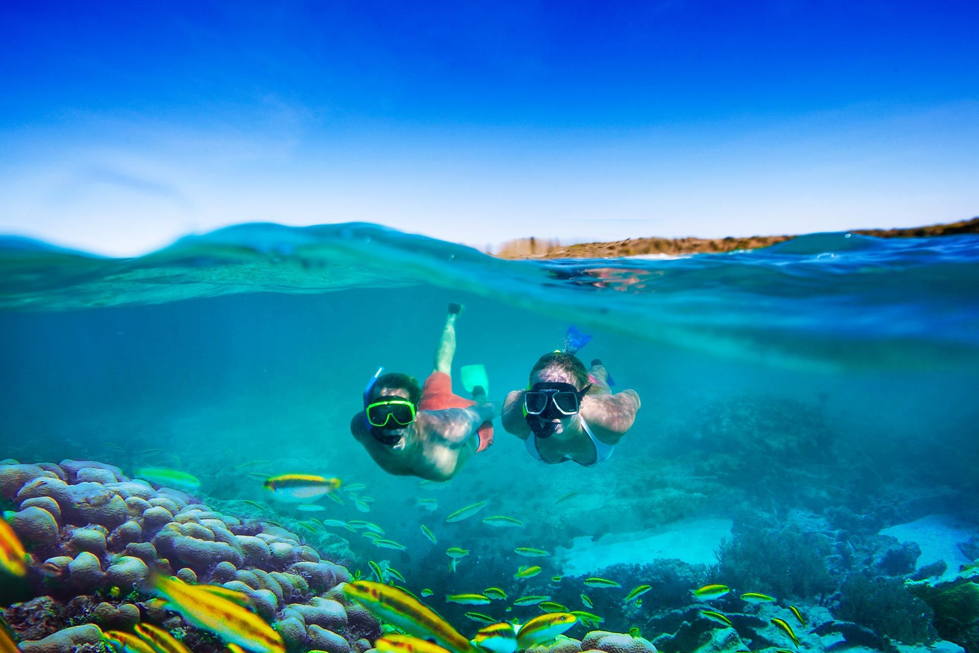 couple snorkeling over reef