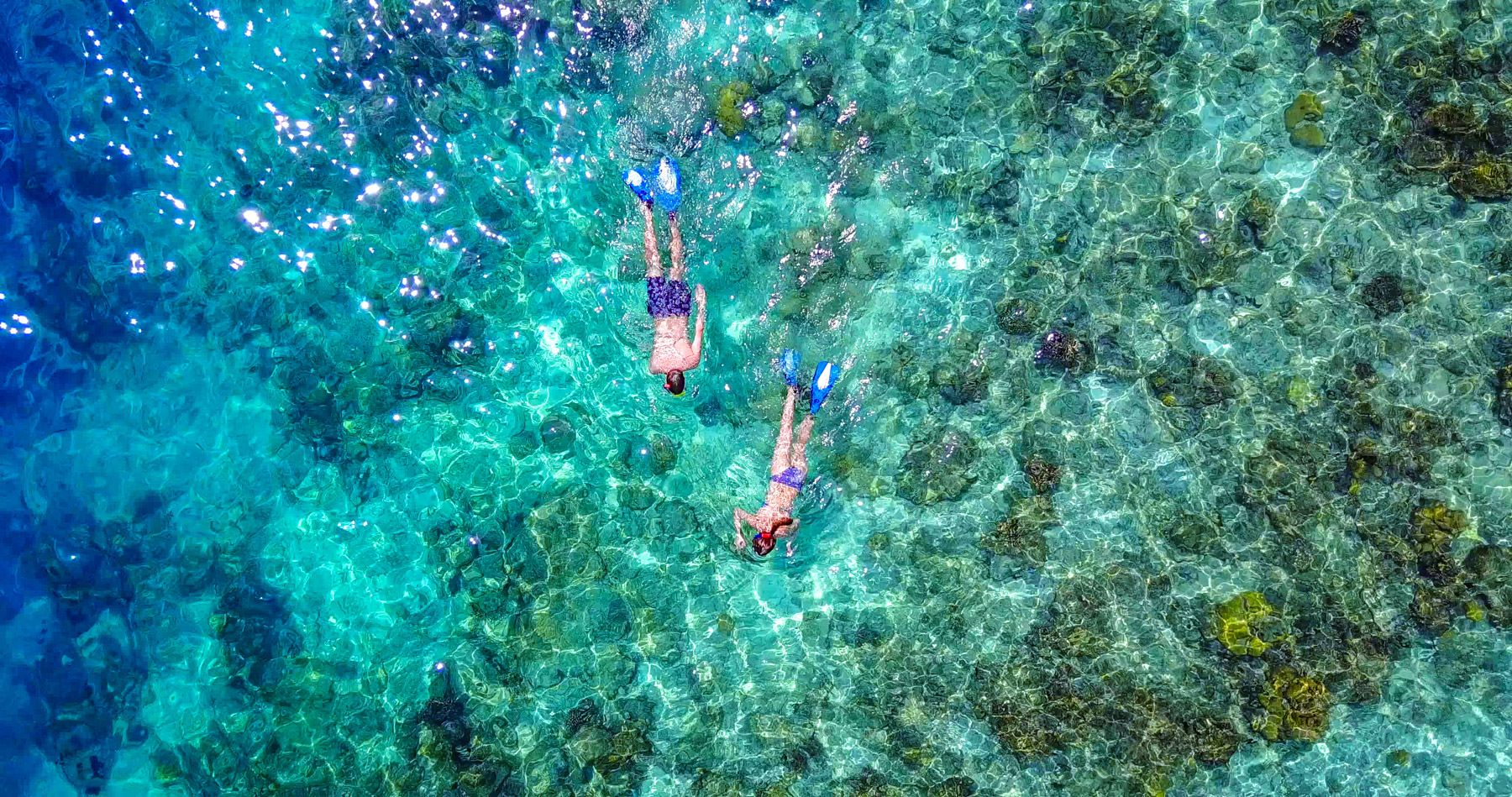 aerial view couple snorkeling